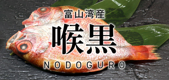 富山湾産　のどぐろ