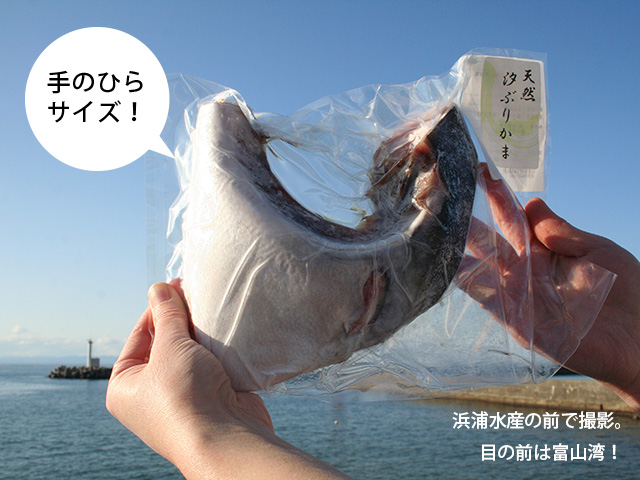 鰤 カマ