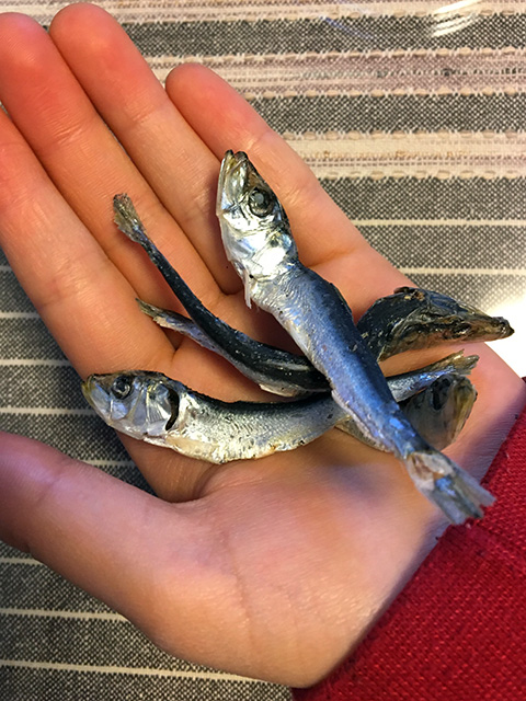 平子煮干