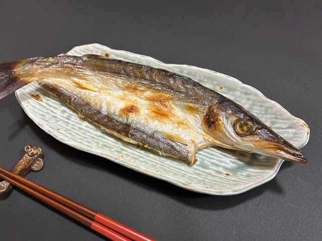 特大カマス開き