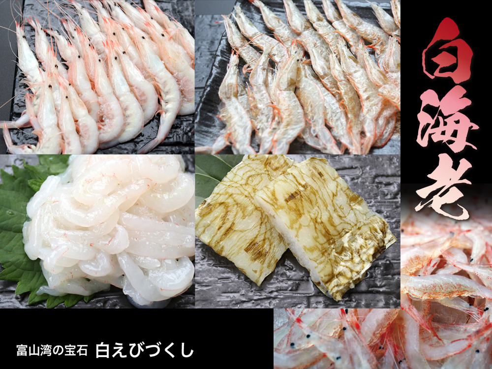 富山湾の宝石 白えびづくし 箱入り