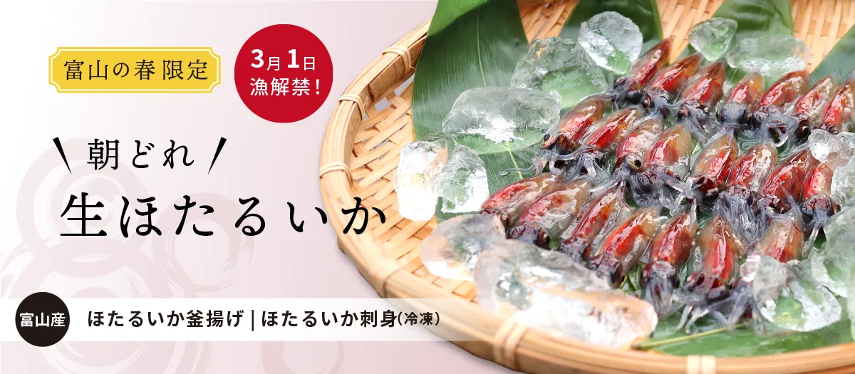 富山湾産 ほたるいか漁 3月1日解禁｜ 生ほたるいか・釜揚げ・冷凍