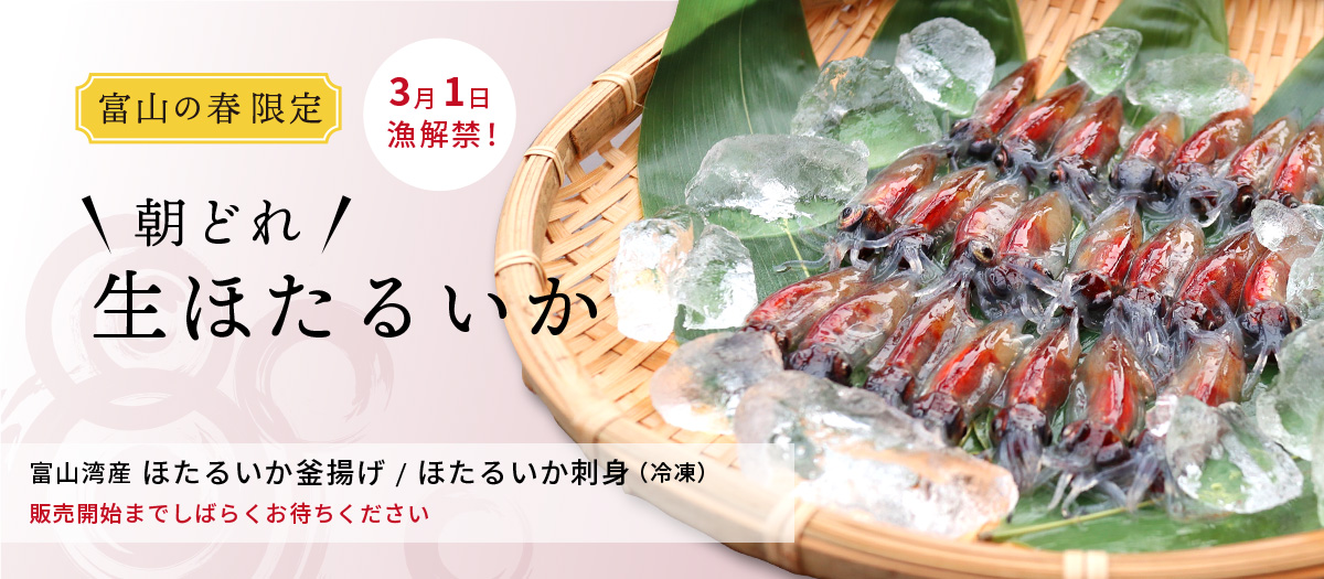 富山湾産 ほたるいか漁 3月1日解禁｜ ほたるいか漁生ほたるいか・釜揚げ・冷凍  しばらくお待ちください