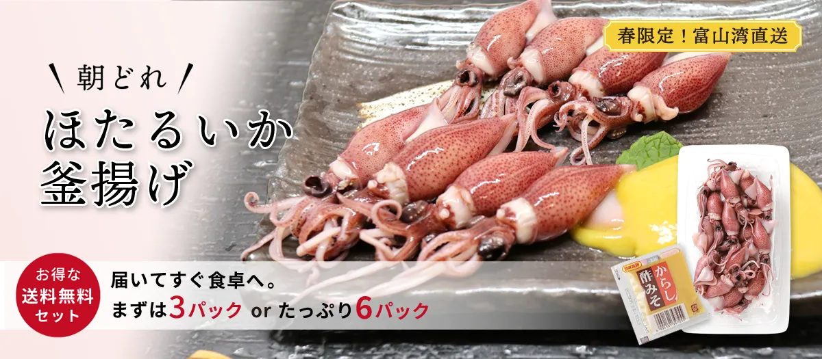 富山湾産 生ほたるいか 販売中｜ ほたるいか釜揚げ