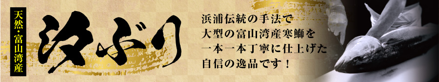 富山湾産 天然 汐ぶり