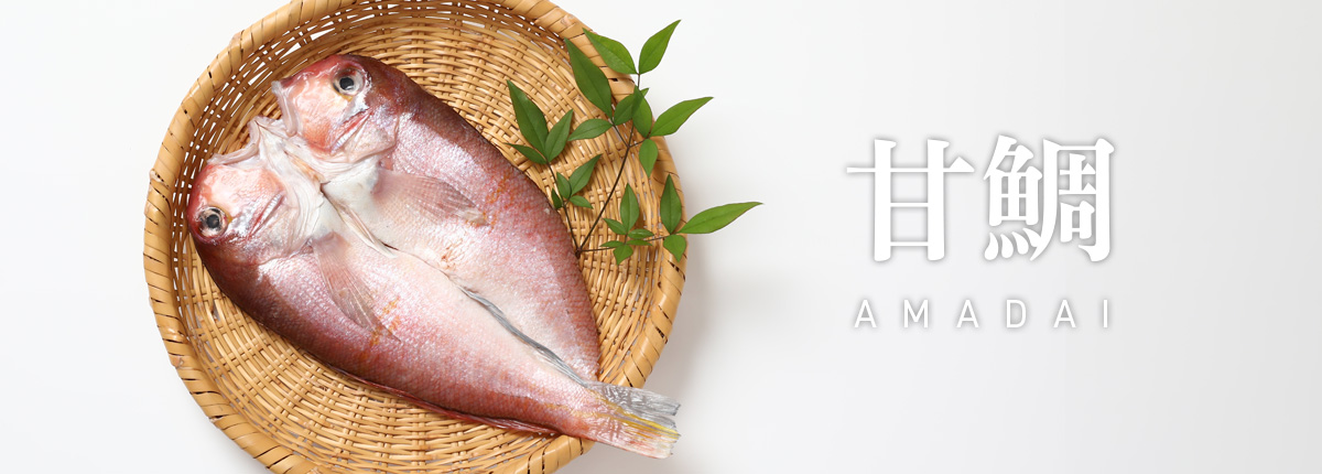 甘鯛